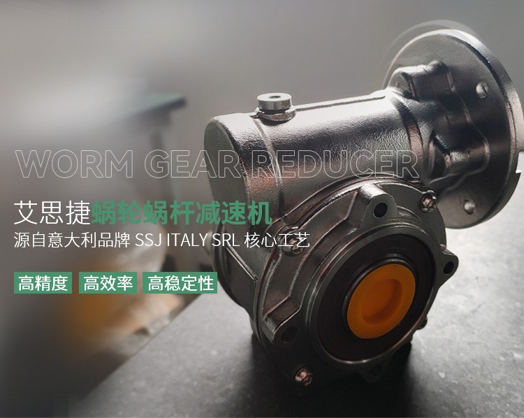 艾思捷蜗轮蜗杆减速机